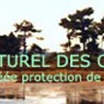 Image de Sauvegarde du Site Naturel des Quinconces Saint-Brice-Le Coulin